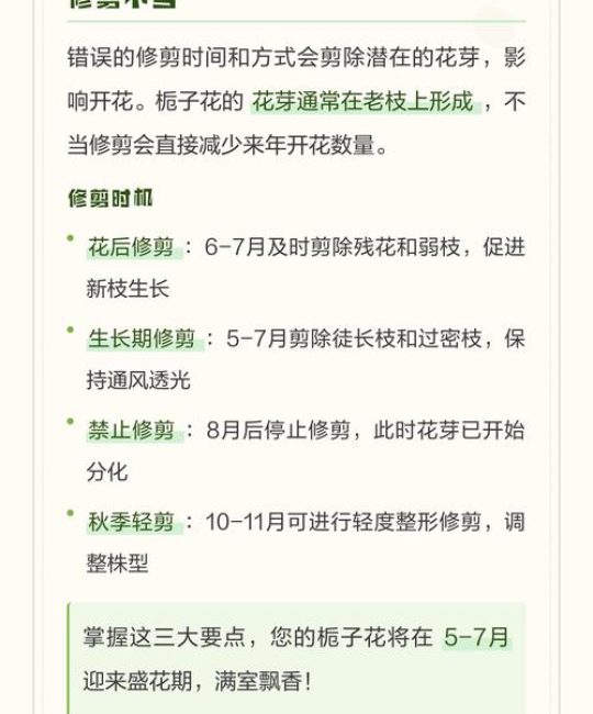 栀子花不开花怎么办？4大原因排查与解决方案