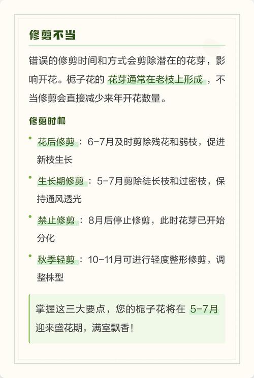 栀子花不开花怎么办？4大原因排查与解决方案