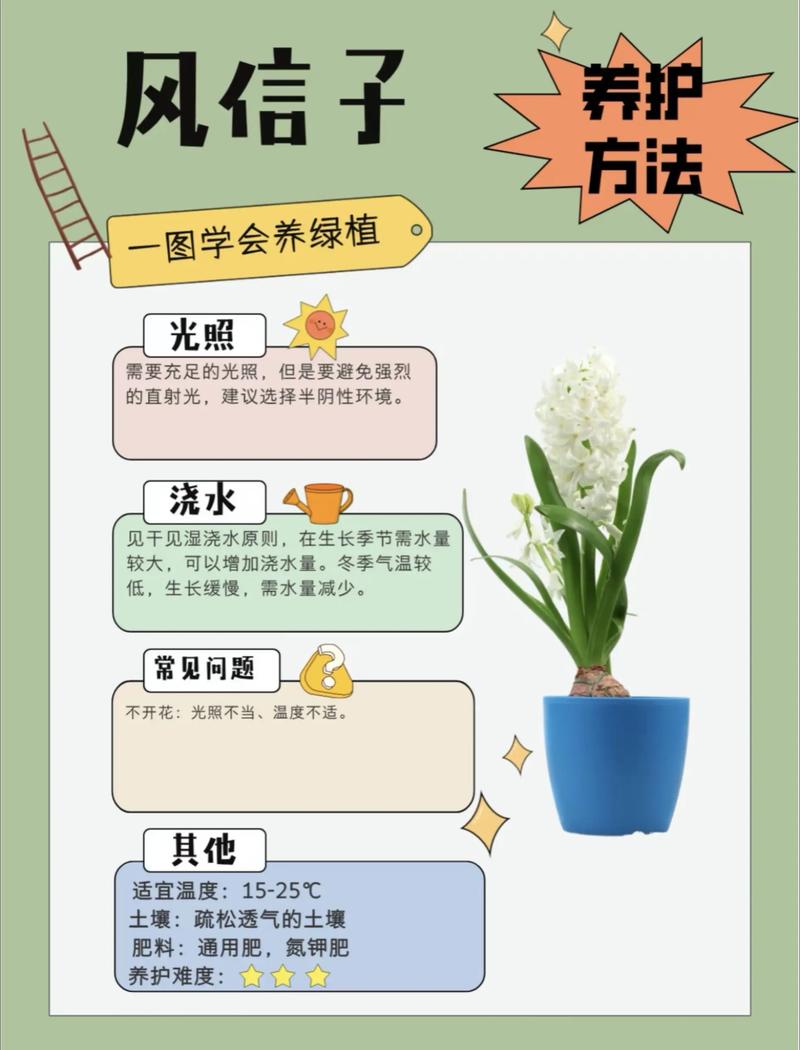 风信子花种子怎么种?专家指导 三、种子处理(栽前处理)