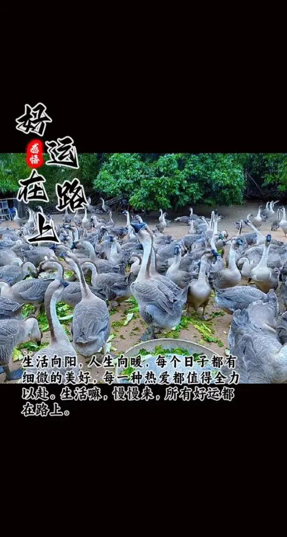 五、检疫和手续必须书面化