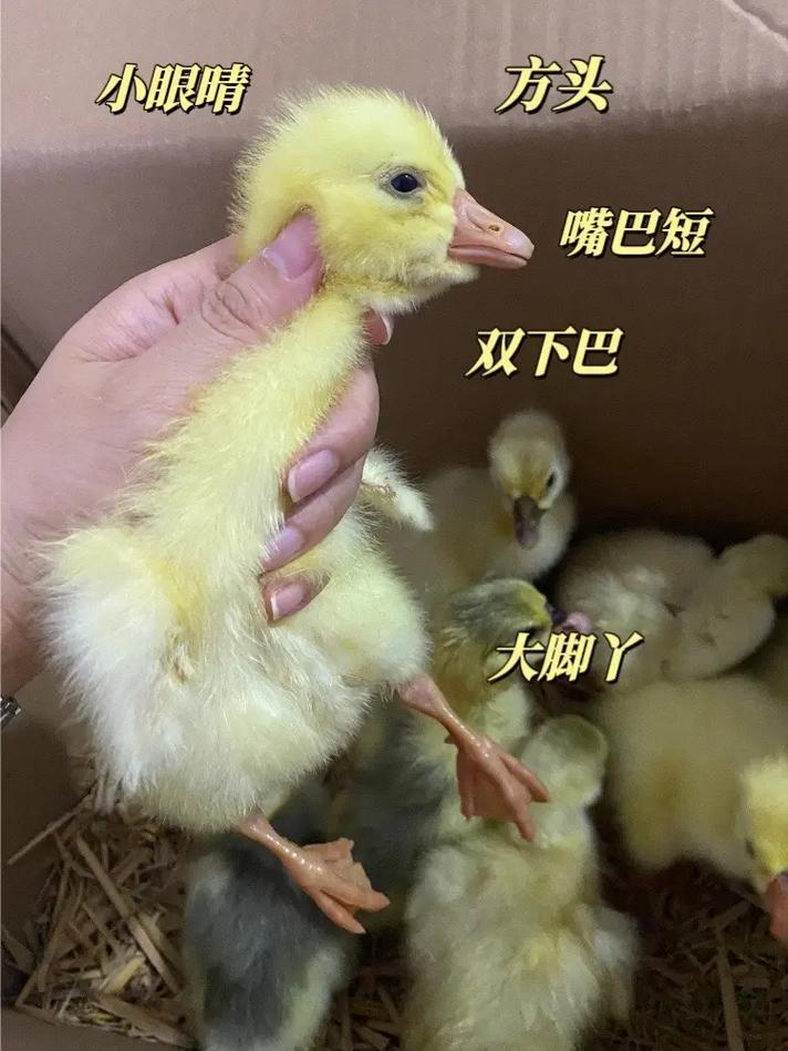 结语
