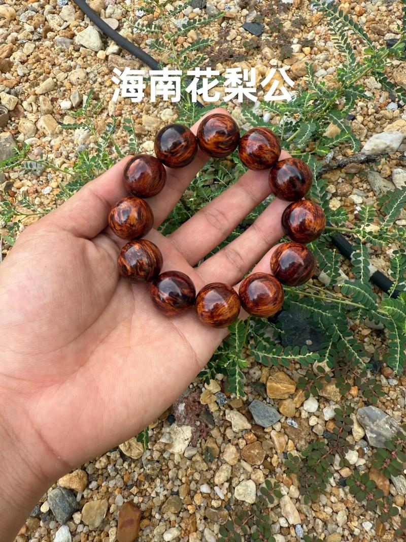 瘿子的价值与用途
