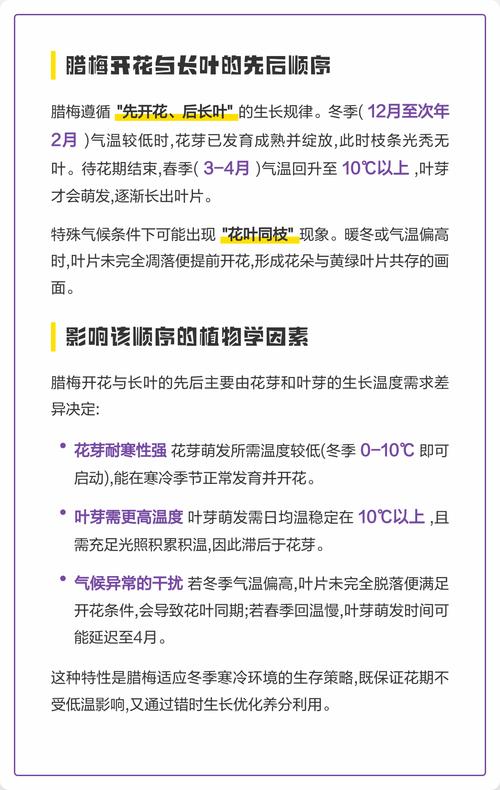 腊梅是先开花后长叶吗?一文详解腊梅的花期与展叶规律 不开花或“先叶后花”的常见原因与解决