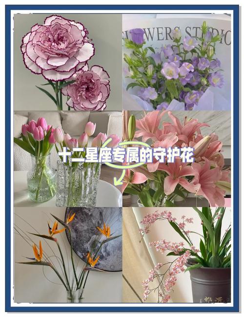 优雅与平衡的绽放:天秤座女生最爱的花卉指南 天秤座的性格与花卉的共鸣