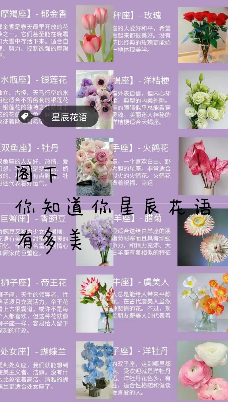 优雅与平衡的绽放:天秤座女生最爱的花卉指南 1. 玫瑰:浪漫与美的永恒符号