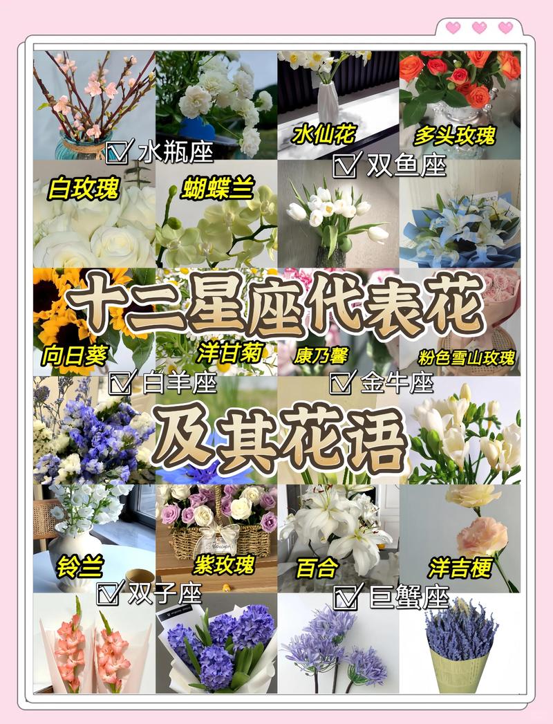 优雅与平衡的绽放:天秤座女生最爱的花卉指南 3. 紫罗兰:忠诚与平衡的象征