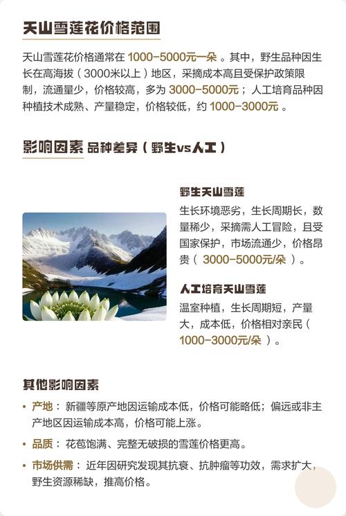 雪莲花一朵什么价格?2025年最新市场参考与五大影响因素解析 数量:零售与批发价差约20%~50%