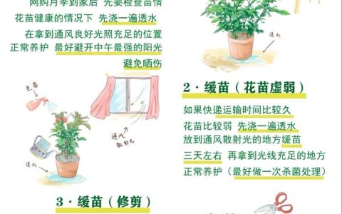 二月花什么意思？园艺视角下的诗意解读与早春花卉养护指南