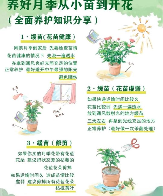 二月花什么意思？园艺视角下的诗意解读与早春花卉养护指南