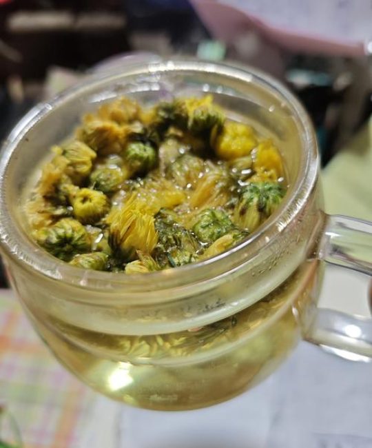 胎菊种植与泡茶指南：掌握这些技巧，让你的胎菊花茶更香醇