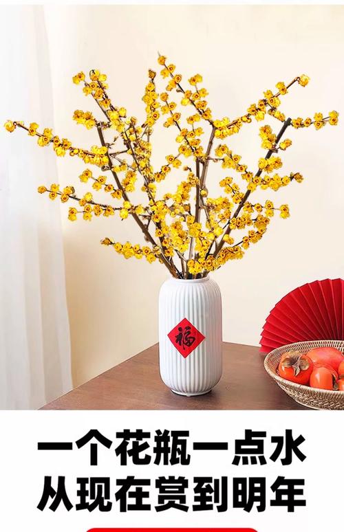 促花养护步骤：让干枝腊梅更快开花