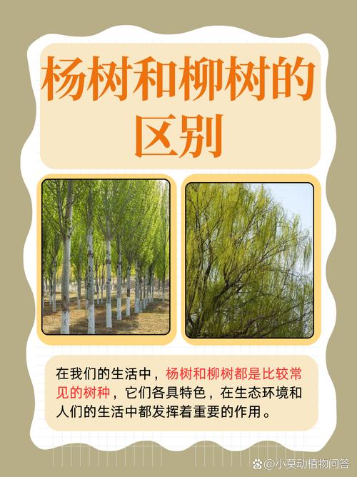 杨柳指的是杨树和柳树吗?——园艺视角下的植物辨析与栽培建议 五、结语