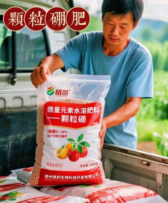 苹果树施肥全攻略：科学选择化肥实现高产稳产