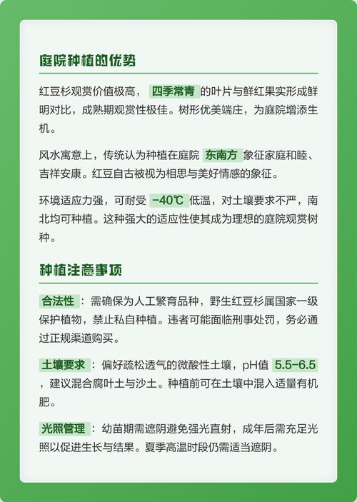 院子里能种红豆杉树吗?庭院地栽全攻略与注意事项 八、院子里的位置选择:安全与美观要兼顾