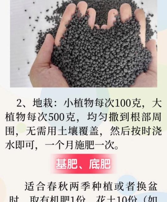 家庭茶园施肥指南：读懂茶树的“口味”，用对肥料其实很简单