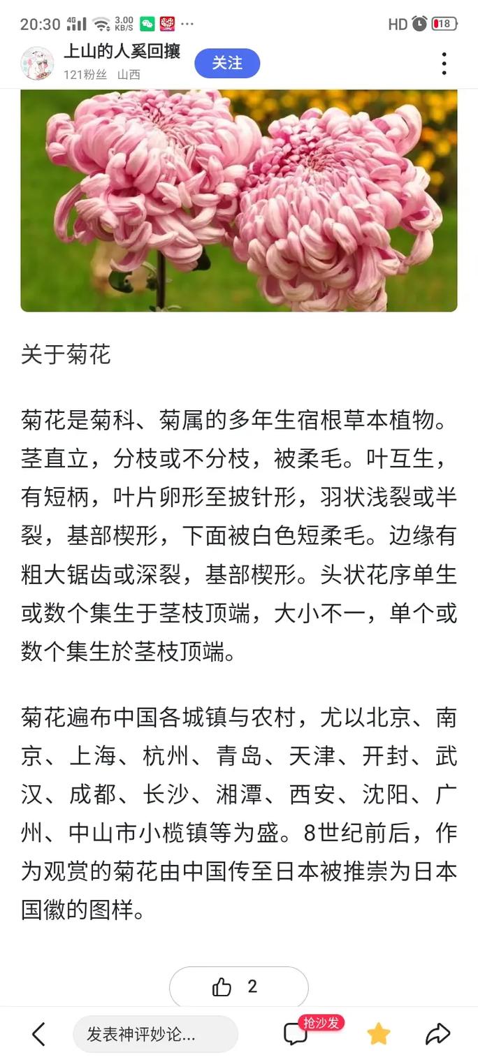常见误区与纠正