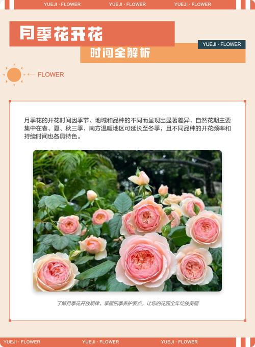 越冬与越夏管理清单：保护花期的“时间开关”
