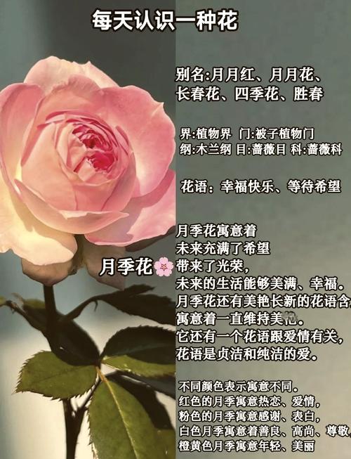 总结：记住这三个可执行动作