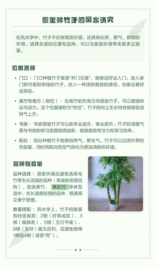 竹子种多少棵吉利?风水寓意与栽植密度全攻略 FAQ(常见问题)