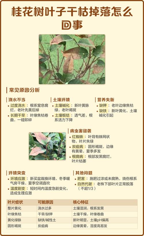 四、后期预防