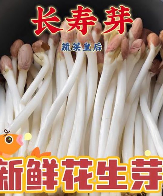 花生芽苗菜市场价格是多少？规格、产地、采购量影响报价