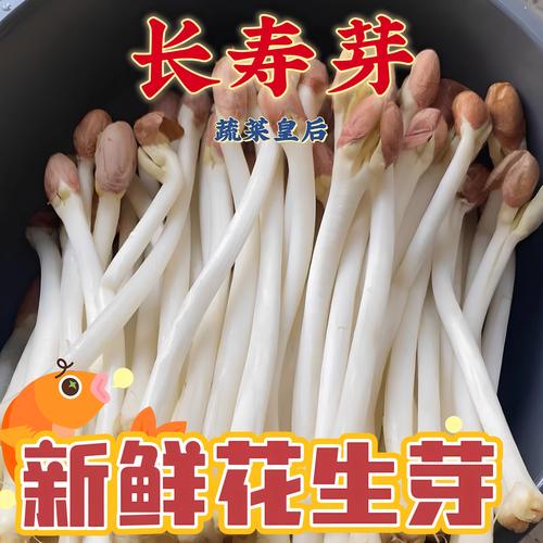 花生芽苗菜市场价格是多少?规格、产地、采购量影响报价 花生芽苗菜市场价格是多少?规格、产地、采购量影响报价
