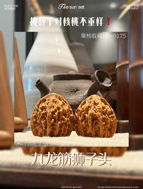 形态特征：壳薄仁满的典型表现