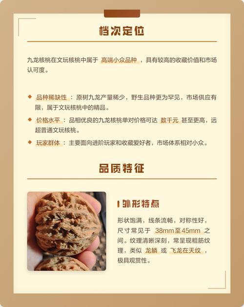 识别要点与快速鉴别方法