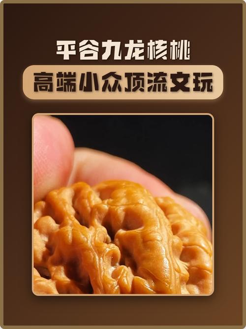 品种对比分析：与其他常见核桃品种的差异