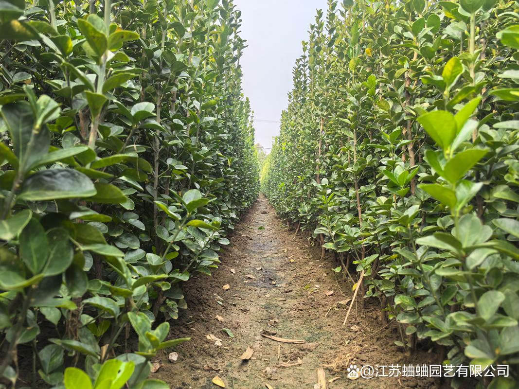 价格快速参考