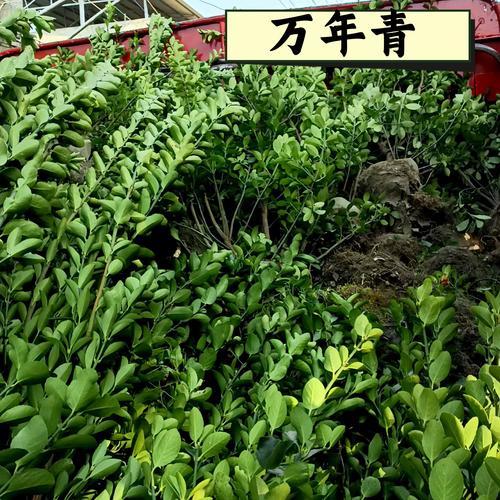 数量影响价格——批量采购折扣阶梯明显