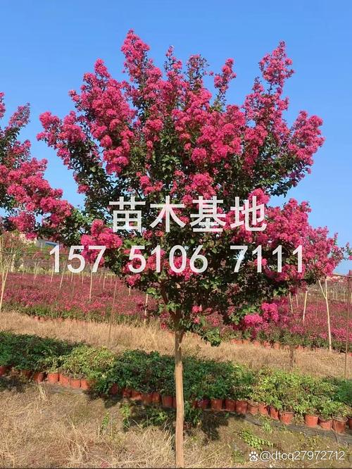 咨询指南——如何根据自身情况询价？