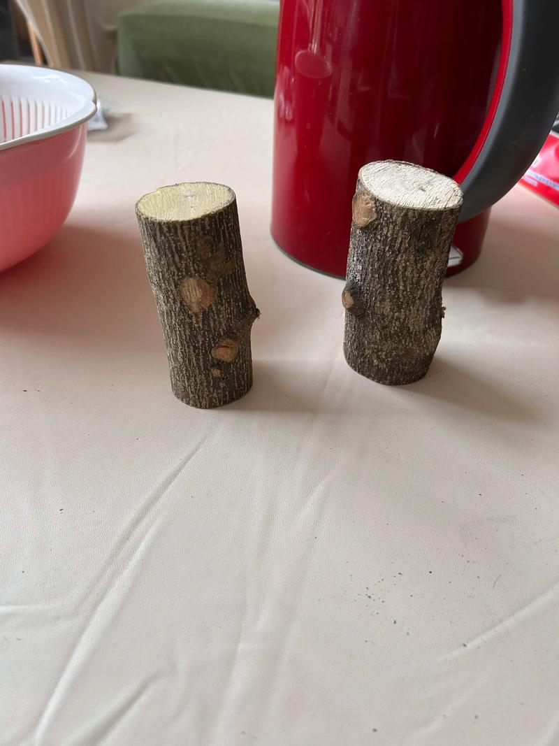 婴儿花椒木磨牙棒好吗?园艺专家告诉你真相 二、花椒木做磨牙棒,安全吗?