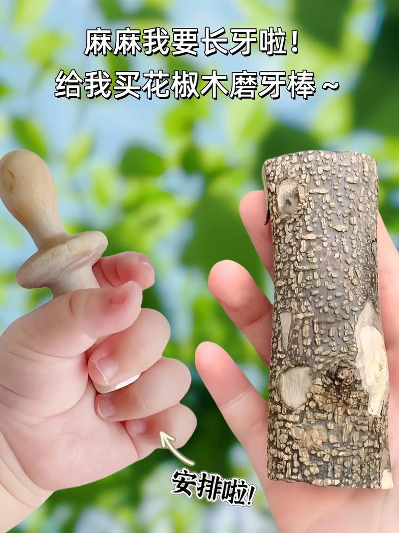 婴儿花椒木磨牙棒好吗?园艺专家告诉你真相 四、给家长的选购建议