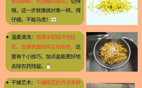 新鲜桂花怎么吃？从采摘到入馔的园艺指南
