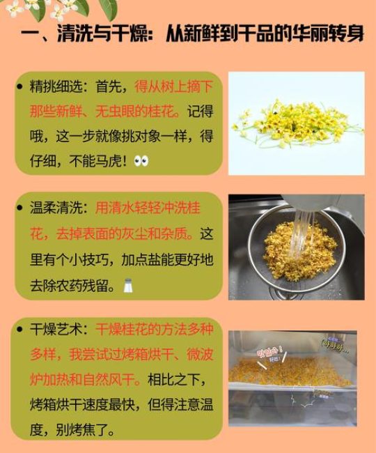 新鲜桂花怎么吃？从采摘到入馔的园艺指南
