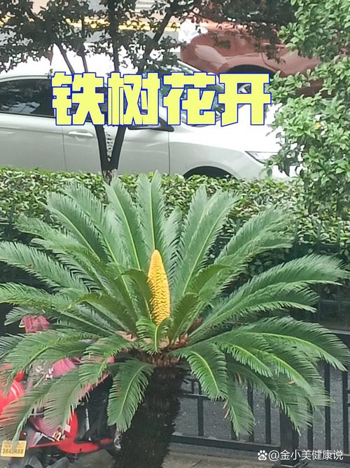 五、特殊人群禁忌