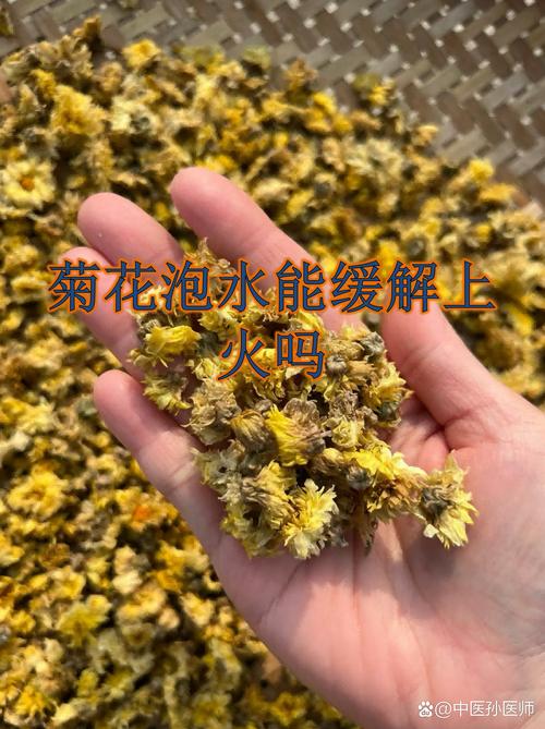 菊花泡水一次放多少克?用量与安全指南 安全性声明:这些人需谨慎