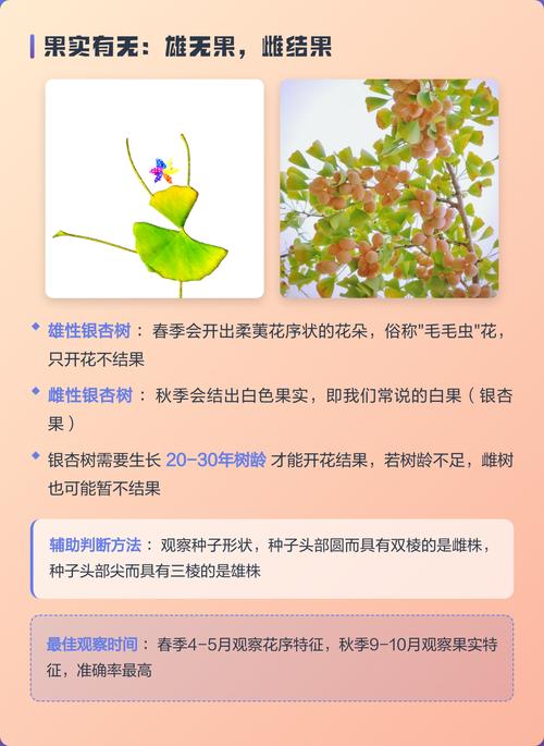 促花促果的3个实用技术