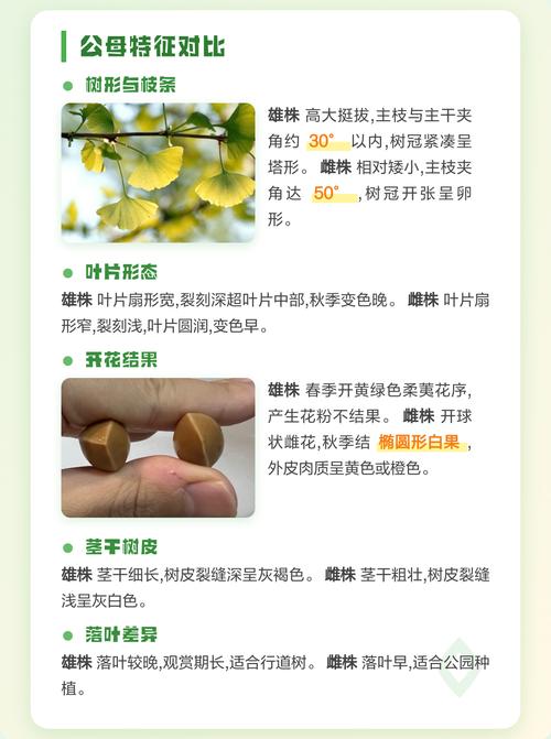 常见问题解答（FAQ）