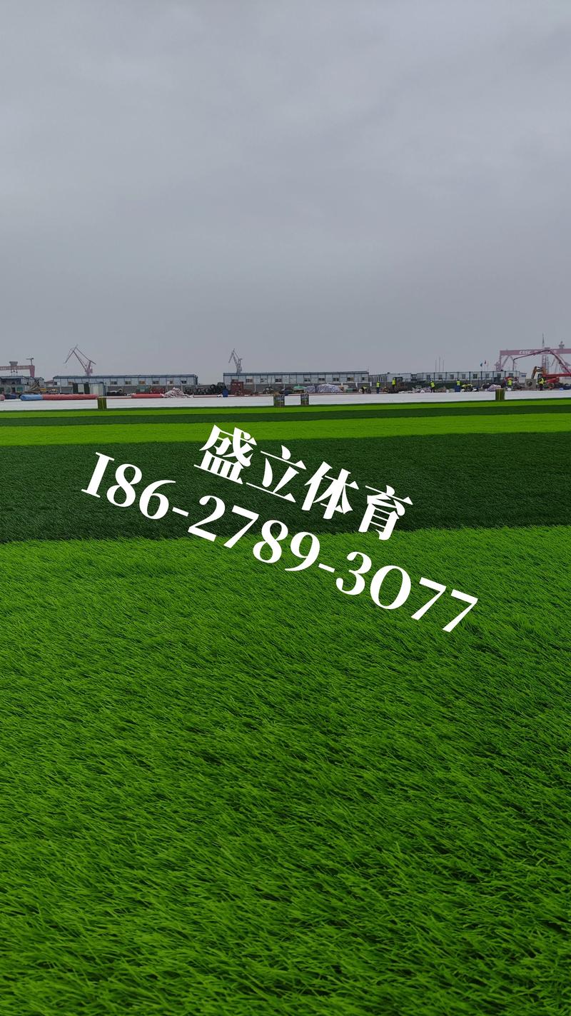 数量：标准体育场已经属于批量采购
