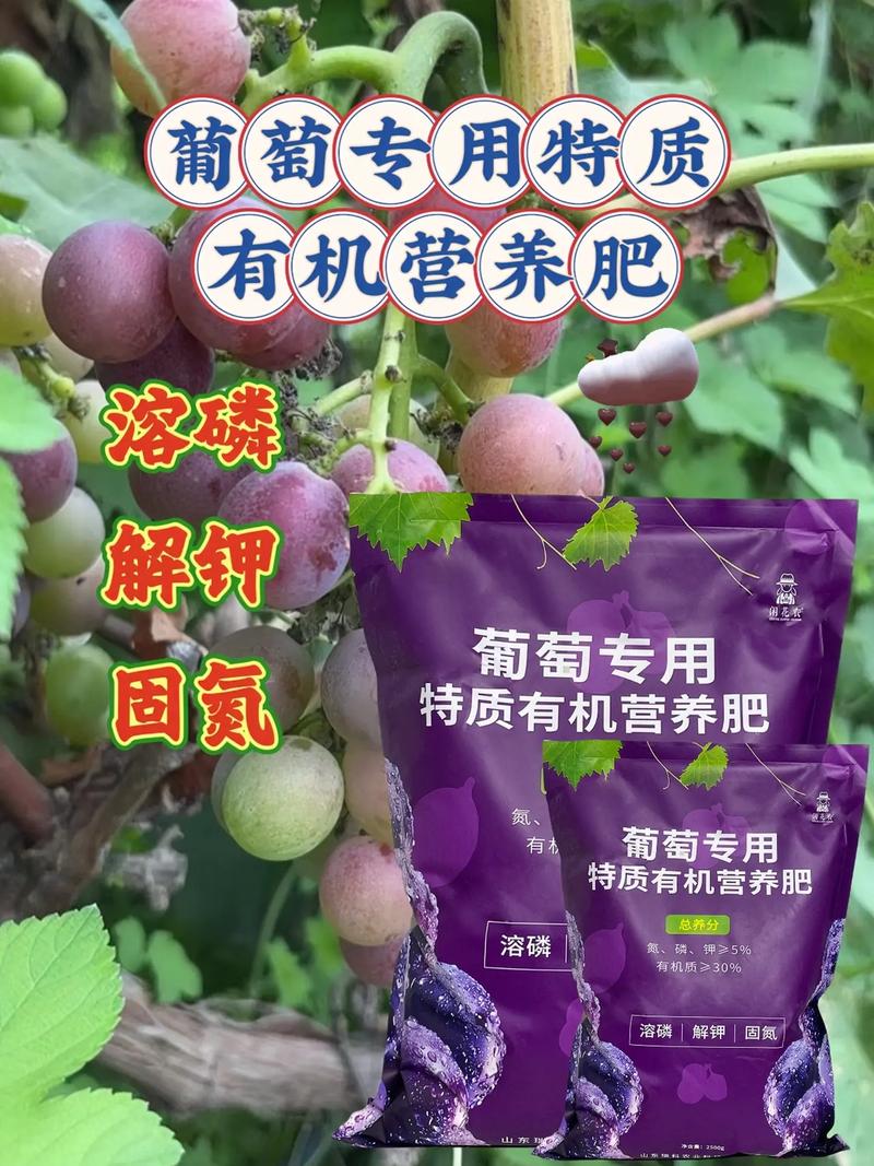 换盆与田间管理：根系健康是吸收养分的基础