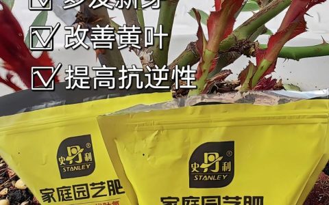 叶面肥怎么选？家庭园艺养护全攻略