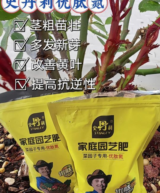 叶面肥怎么选？家庭园艺养护全攻略