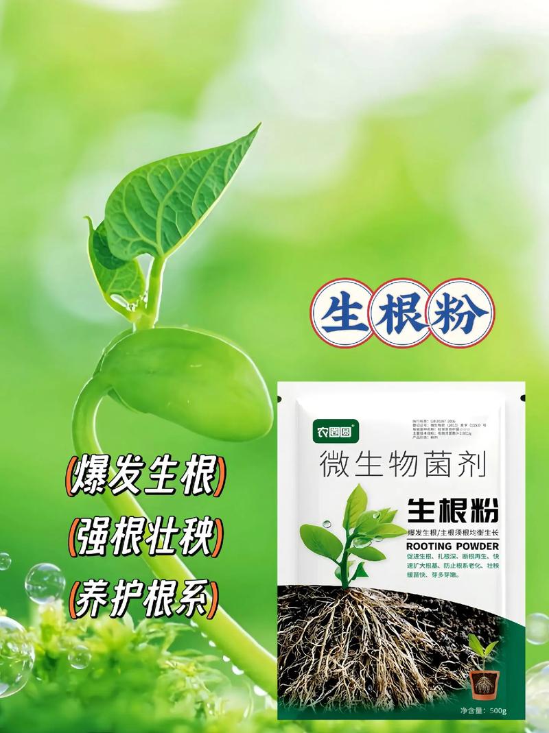 换盆/田间管理：换盆后至少等待2周再使用叶面肥，避免干扰根系恢复