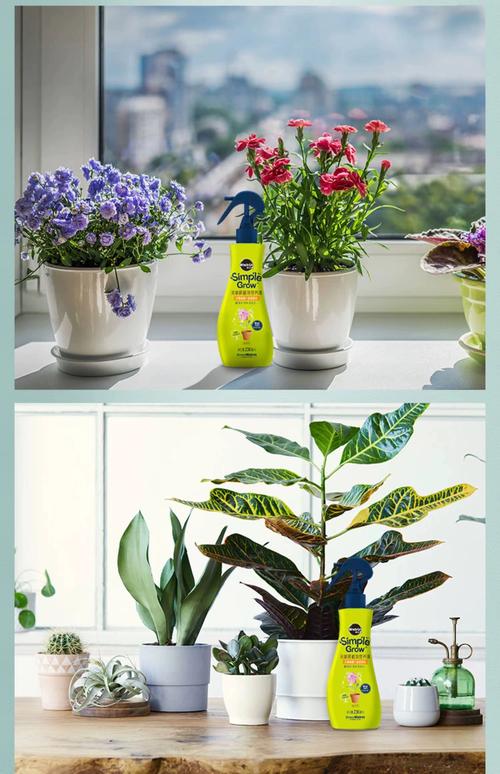 越冬越夏：叶面肥在极端季节的使用频率需大幅降低