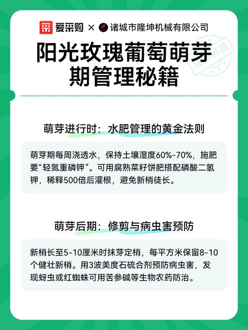 阳光玫瑰葡萄苗萌芽期精准管理指南:从温度到修剪的全流程操作 总结验证