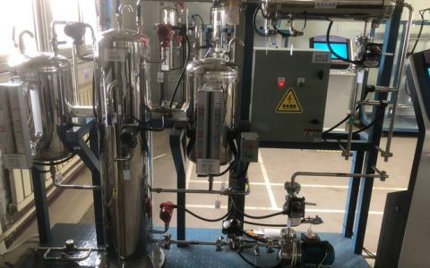 灭草松治水葱吗？池塘河道挺水植物化学防控实操指南