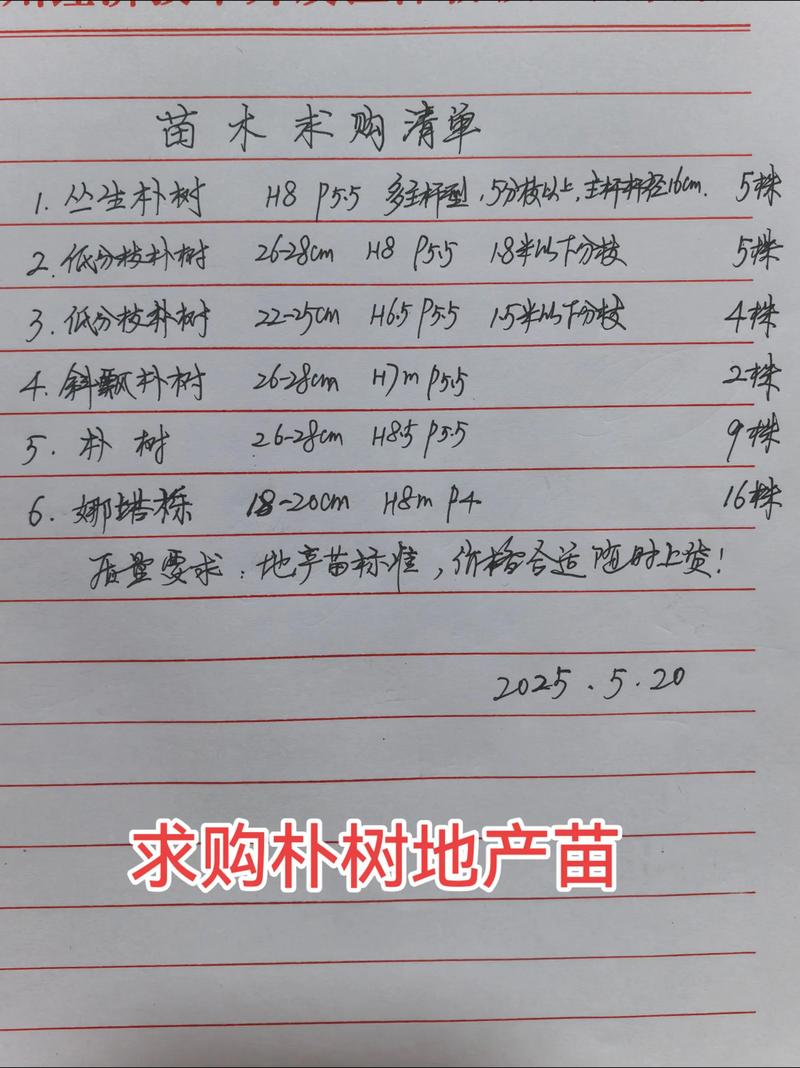 买苗别乱跑!找到靠谱批发苗木市场的四个硬核步骤 第四步:检疫与售后条款的书面约定