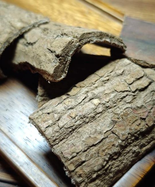 炒杜仲与生杜仲的区别：功效、外观及选购指南